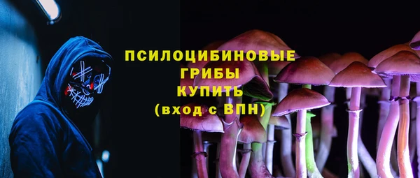 марки lsd Бородино
