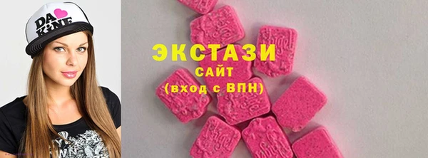 индика Бугульма