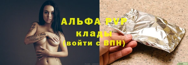 индика Бугульма