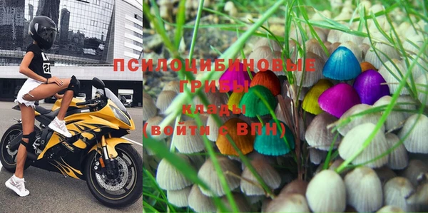 индика Бугульма