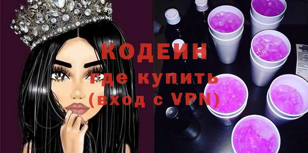 индика Бугульма