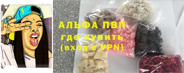 индика Бугульма