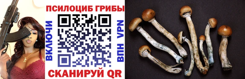 Галлюциногенные грибы ЛСД Курчатов
